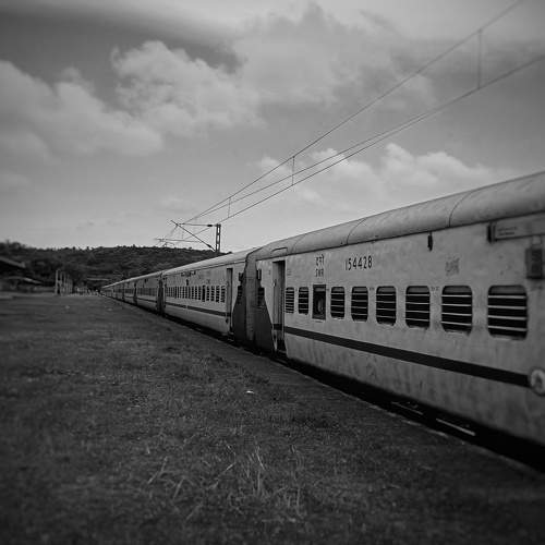 Timeless Journey in Black and White A
