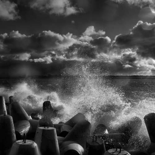 Photo #11587086