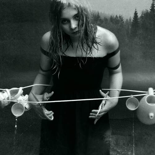 Photo #11587088