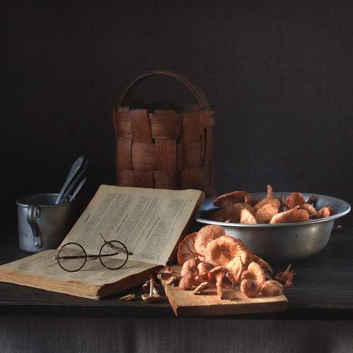 С книгой рецептов