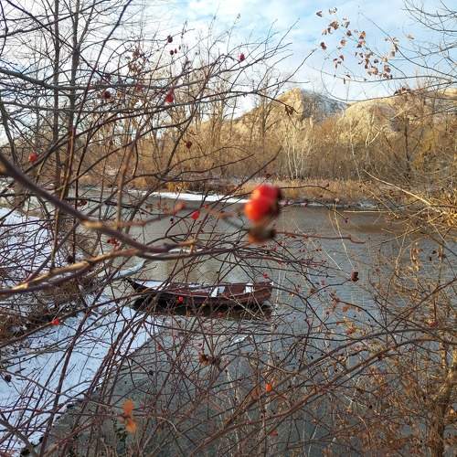 Photo #11587354