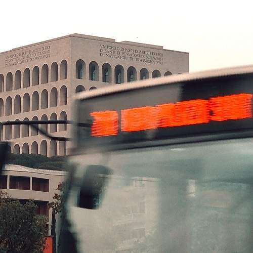 Photo #11588091