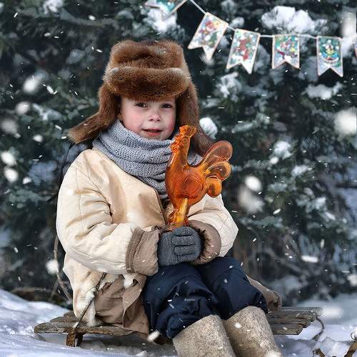 Photo #11588804