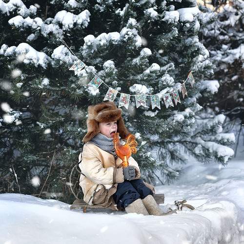 Photo #11588805