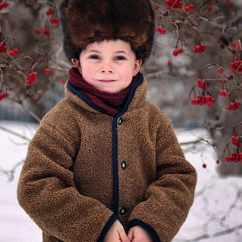 Photo #11588954