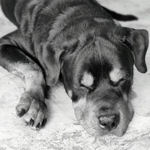Photo #11589294