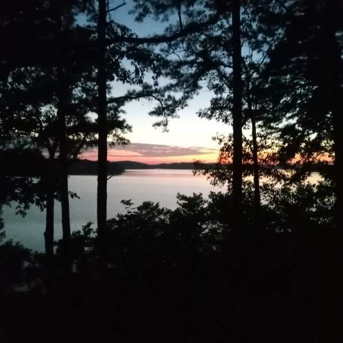 Photo #11589386