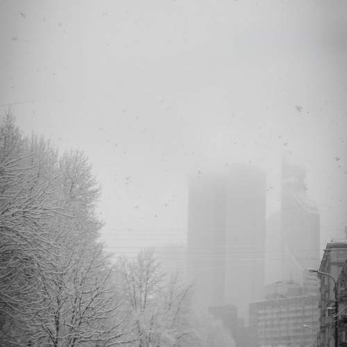 Photo #11589500