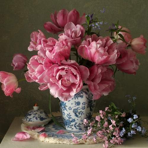 Фотография #11589683