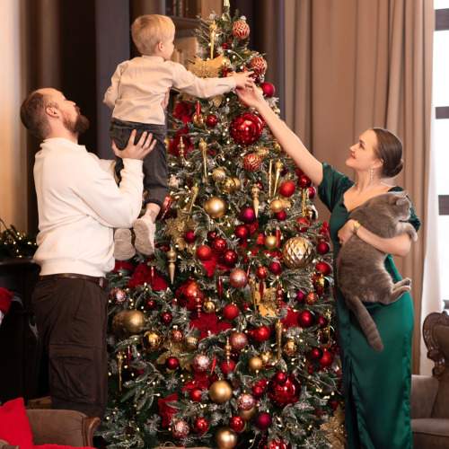 Photo #11590104