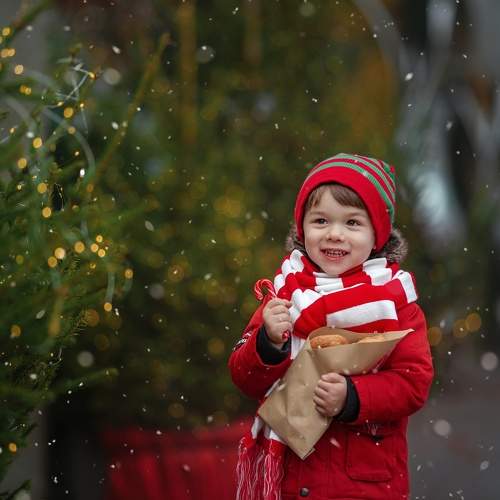 Photo #11590248