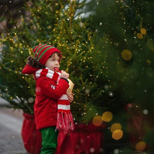 Photo #11590249