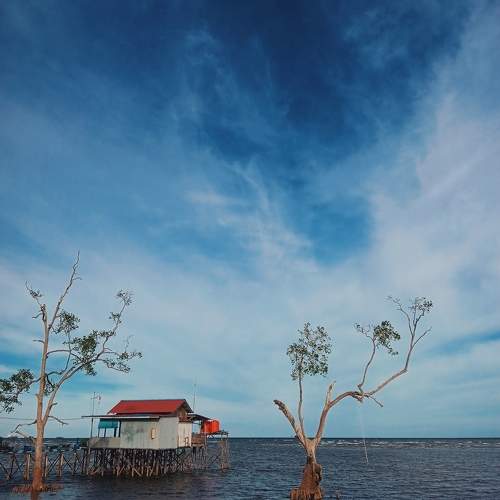 Hut by the sea