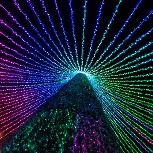 Photo #11590581
