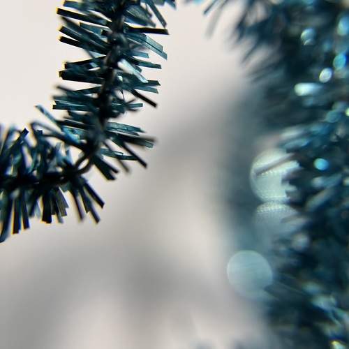 Photo #11590918