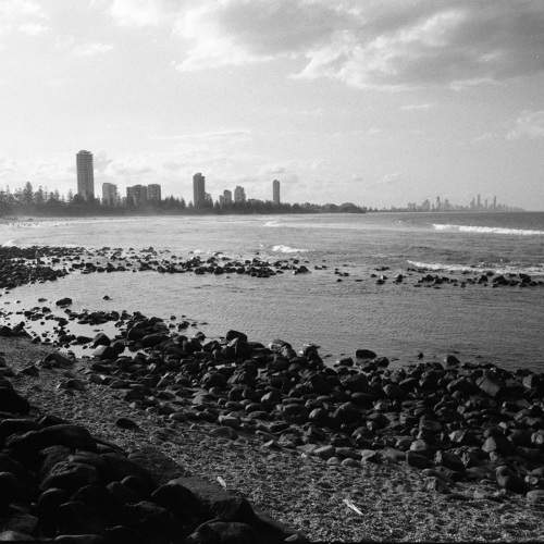 Photo #11590953