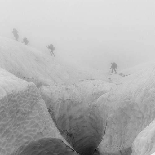 Photo #11591031