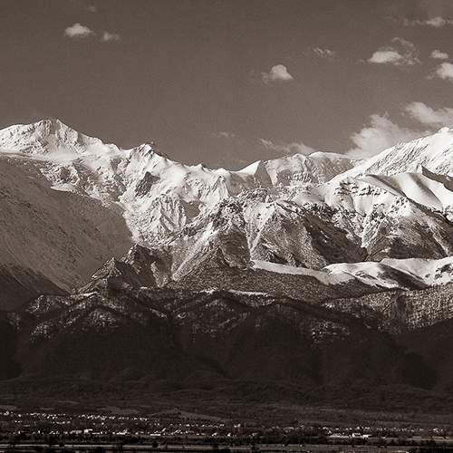 Photo #11591040