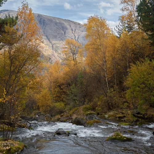 Photo #11591241