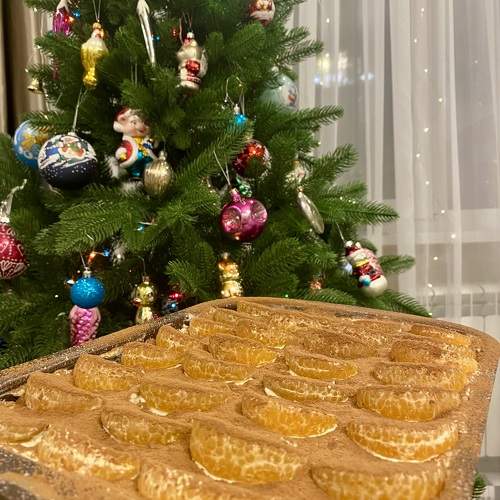 Photo #11591346