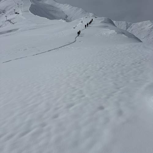 Photo #11591555