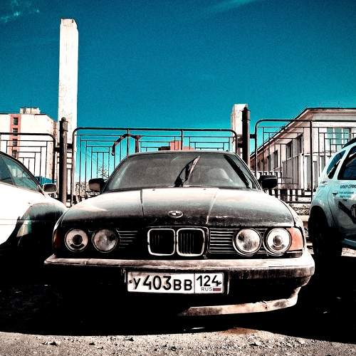Photo #11591871