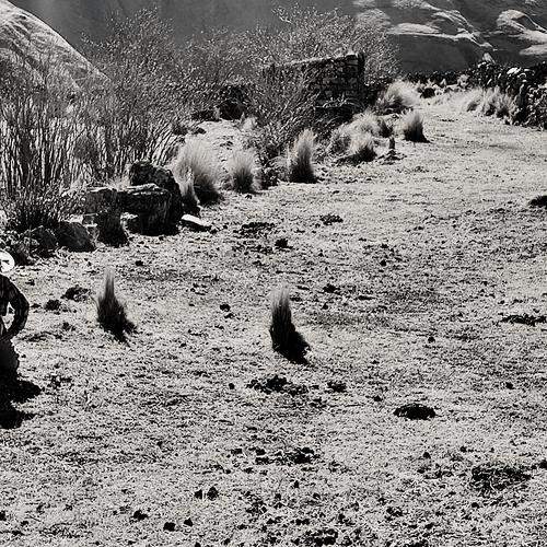 Photo #11592111