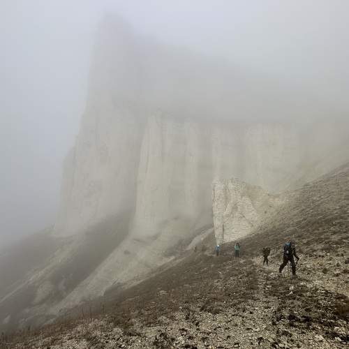 Photo #11592169