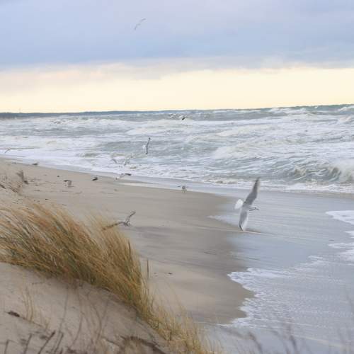 Photo #11592253