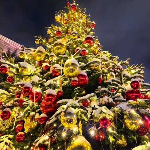 Photo #11592422