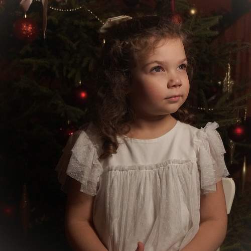 Photo #11592941