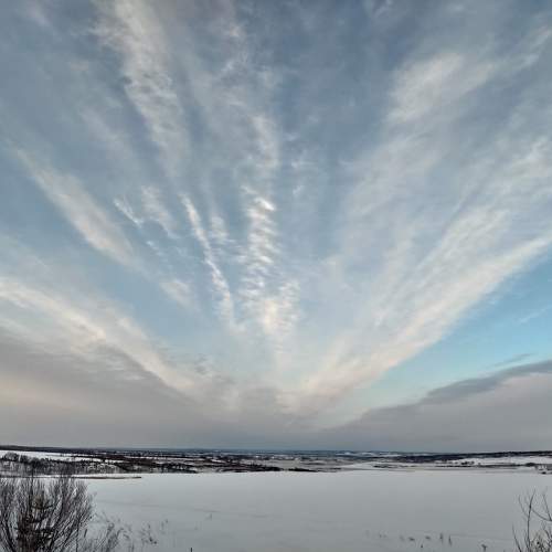Photo #11593823