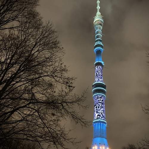Photo #11594145