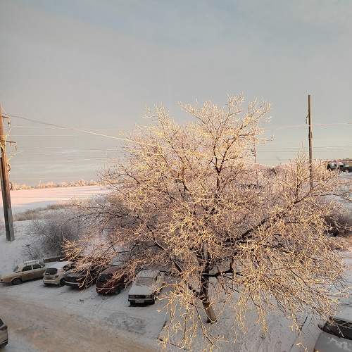 Photo #11594611