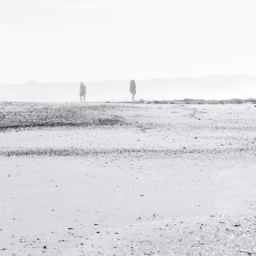 Photo #11594685