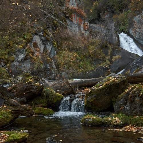 Photo #11595007