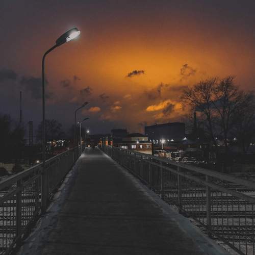 Photo #11595349
