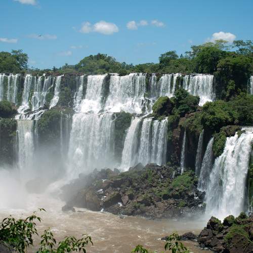 Photo #11595553