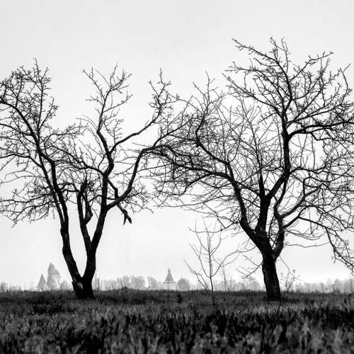 Фотография #11595693