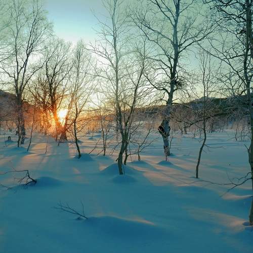 Photo #11595938