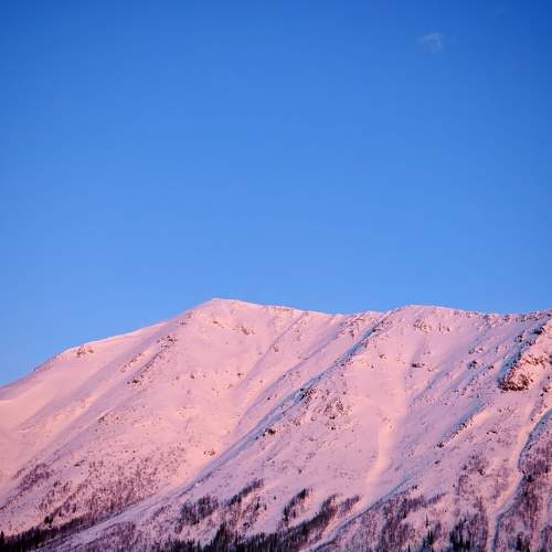 Photo #11595978