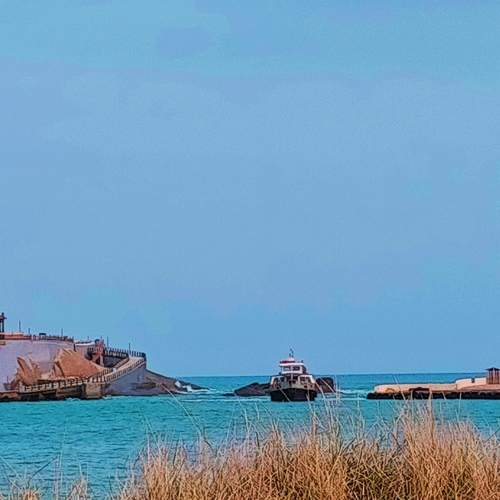 Photo #11596012