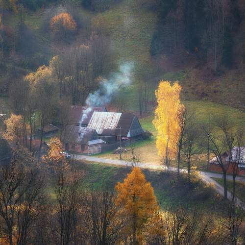 Photo #11596265