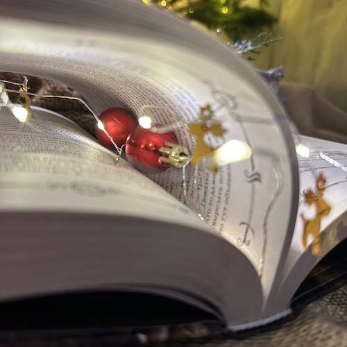 Photo #11596404