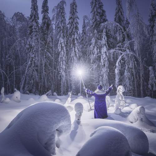 Photo #11596408
