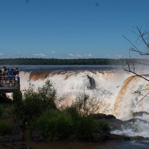 Photo #11596506
