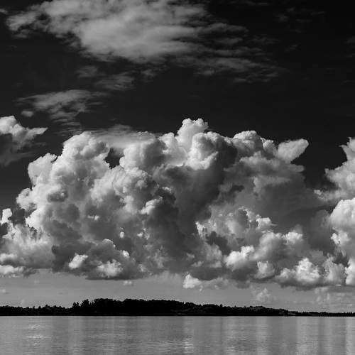 Photo #11596804