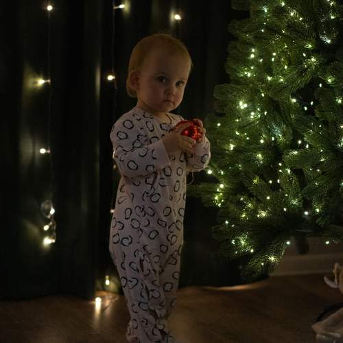 Photo #11597123