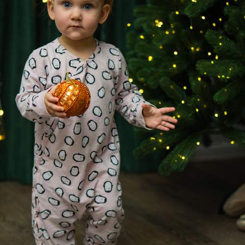 Photo #11597147