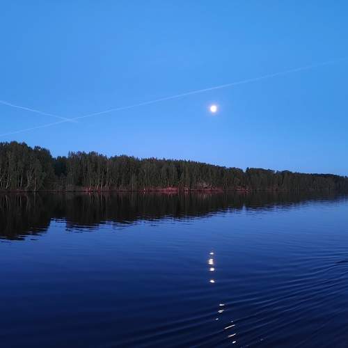 Photo #11597835